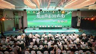 真金白银！云南邀您来避暑、吃菌！