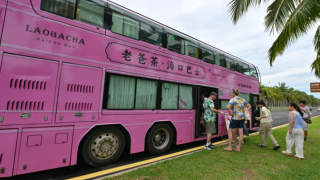 文化中国行丨海南老爸茶 文旅新名片