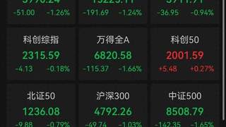 A股收评：近4800只个股飘绿，三大指数集体收跌，科创50收涨