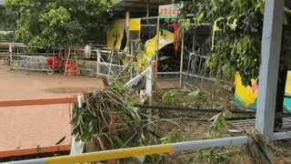 贵港动物园上百只动物被洪水冲走，3只狮子死亡，负责人回应