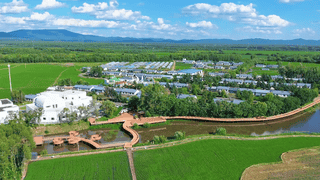 特色蓝靛果采摘游 激活乡村夏日文旅活力