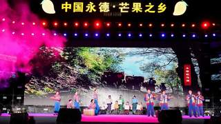 2026年永德芒果之乡文化旅游节启幕