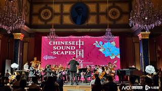 让世界听见中国——《中国音画》维也纳海外首演圆满成功