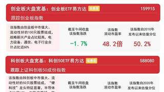 市场早盘震荡调整，科创50ETF易方达（588080）连续12日获资金加码