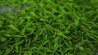 家中数年陈茶能否饮用？红茶绿茶普洱的区别与判断