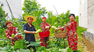 秦岭避暑经济热力升温：桃坪村成康养旅游新热点