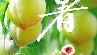 优时节 | 大暑蒸炎夏 桃尖沁绯红