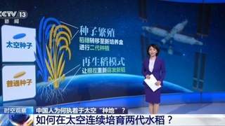 中国空间站连续培育两代水稻 太空育种攻克深空粮食生产难题