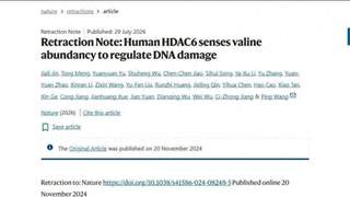 Nature回应仇子龙团队论文争议：发布编辑提示 相关调查仍在进行