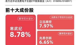 消费电子ETF易方达标的指数涨超5% AI赋能成板块拉升核心