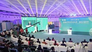 2026中非友好走进山东鲁非文化嘉年华启幕 枣庄伏里土陶亮相展非遗风采