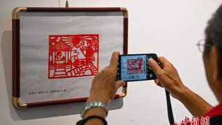 8月7日昆明博物馆启幕 云南百岁非遗传承人张月仙剪纸回顾展开展