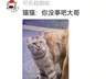 狗将鸡咬死后倒地不起，狗主人猛扇十个巴掌后狗子依旧不动…评论区劝狗主人不要再打了，狗子好像有一点si了…狗主人：这招也就骗骗你们…