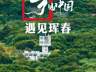 夏天的吉林珲春,太宝藏了!