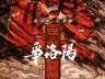 7月25日追光动画官宣 《三国第一部:争洛阳》暂别影院 上映16天豆瓣8.1累计票房8145.6万