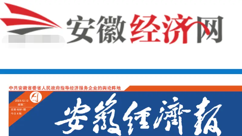合肥制造业企业抱团“走出去” 势起AI 跨域取经