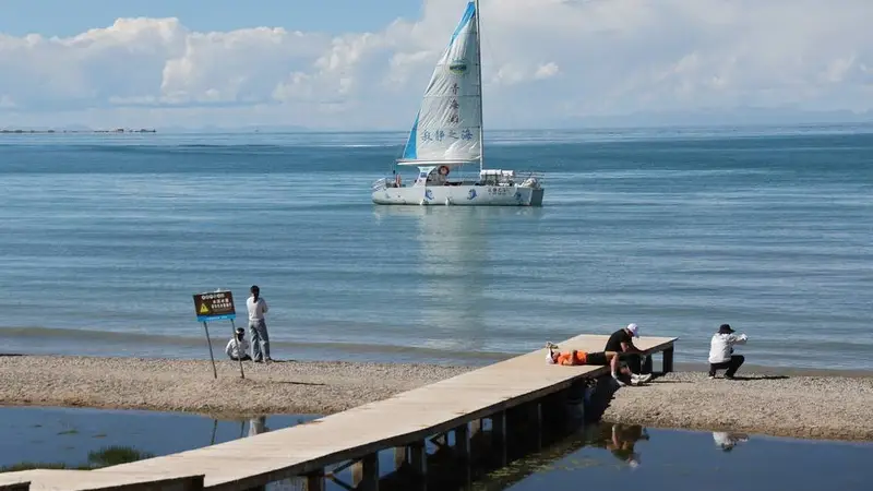 青海湖夏日风光醉游人