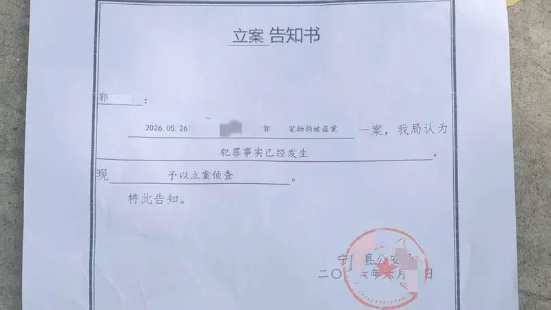 网红边牧被盗宰杀案移送检察院 受害者计划提起民事诉讼索赔