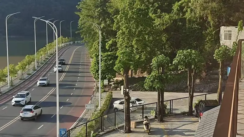 巴马湖光秋月夜 湖宴飘香引贵客