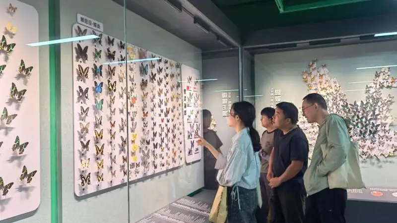 昆明推出“探秘昆虫王国”展 科普生态知识