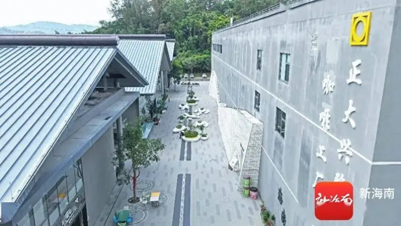从侨乡记忆到世界舞台:一杯兴隆咖啡的振兴之路