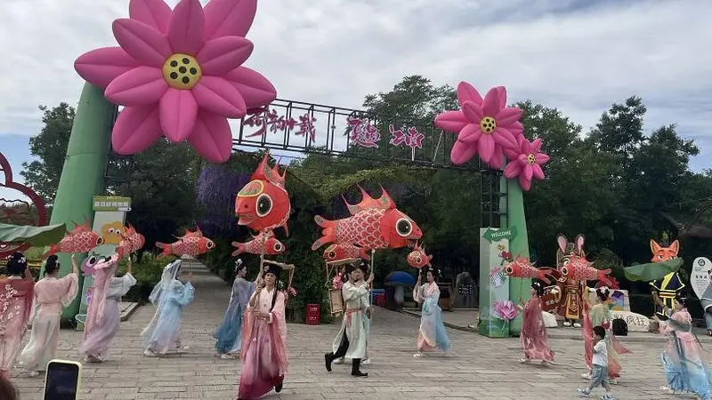 鸣翠湖荷花节:国风避暑新体验,赏荷泛舟逛市集
