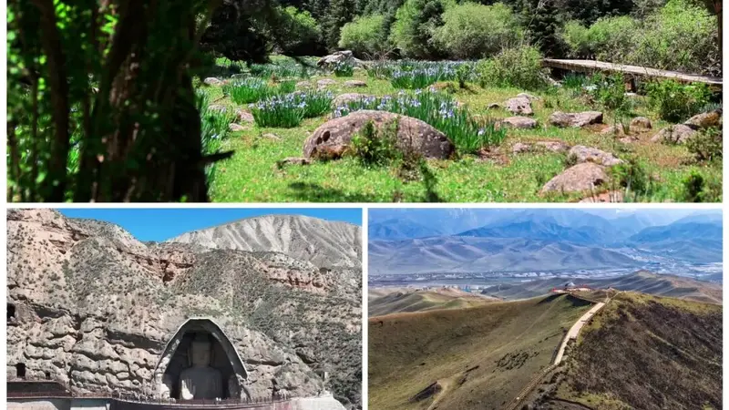 武威夏日旅行人格,你是登山侠还是放空党?