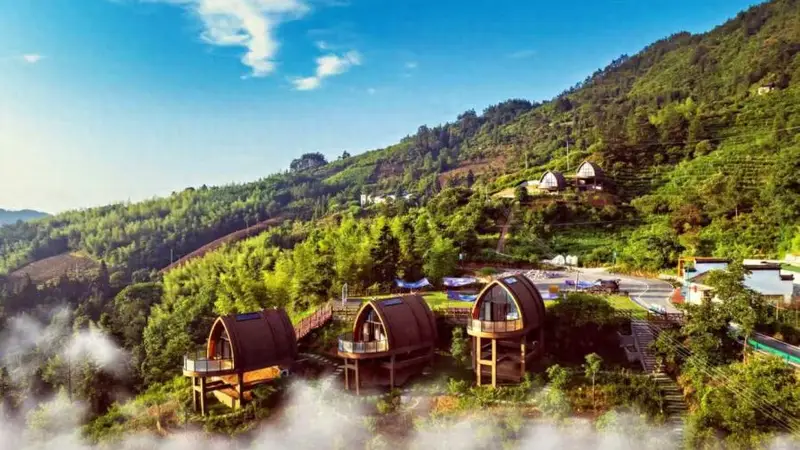 徽州区富溪乡呈阳村:星空引领的乡村振兴之路