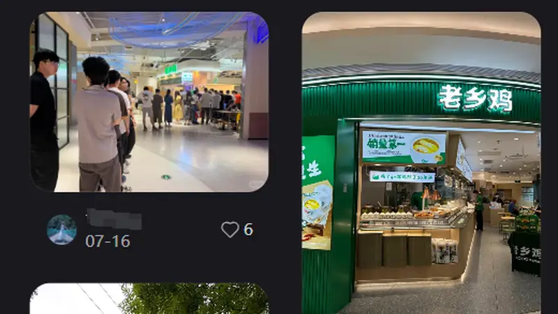 老乡鸡三年三闯IPO仍折戟 规模之下盈利表现引关注