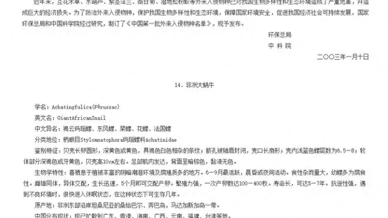 非洲大蜗牛扩散 我国北方恐遭入侵风险