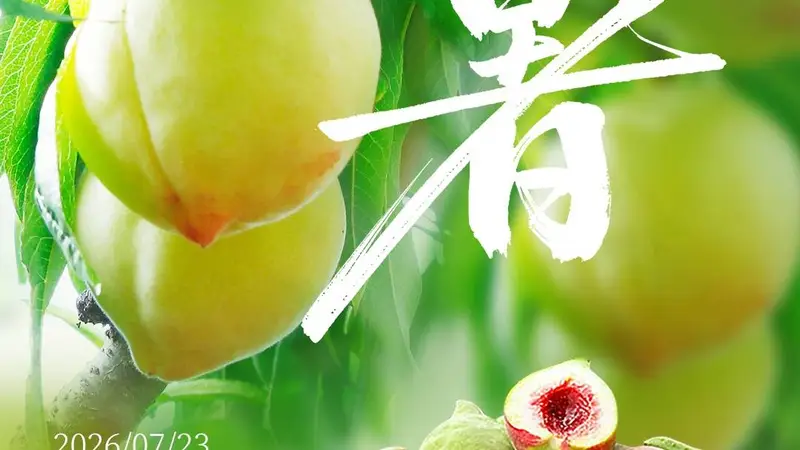 优时节 | 大暑蒸炎夏 桃尖沁绯红