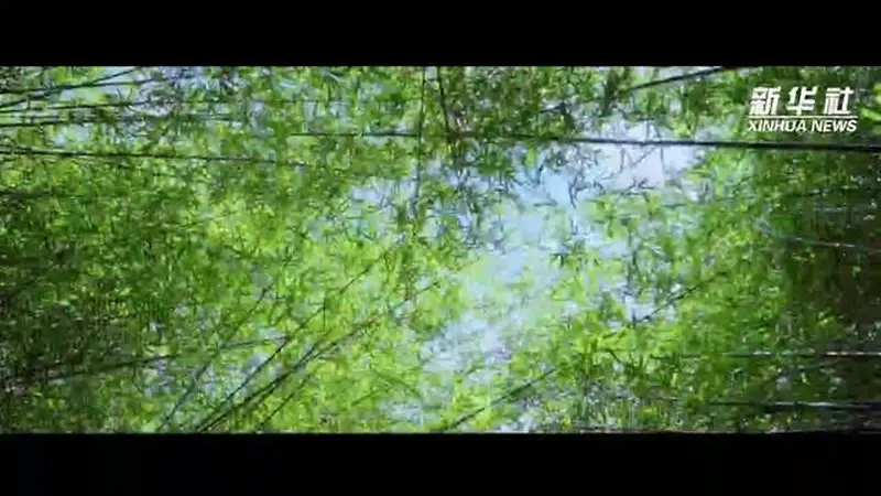 千年瓷都景德镇 十二时辰里的活态传承新活力