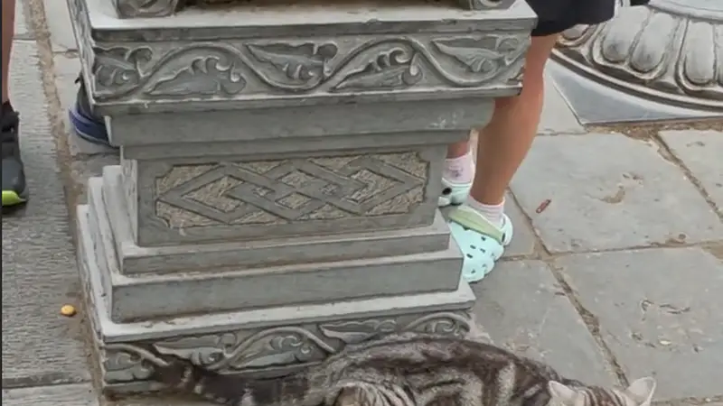西安大兴善寺猫石像被游客摸亮 景区辟谣历史悠久传闻:实为后期修缮