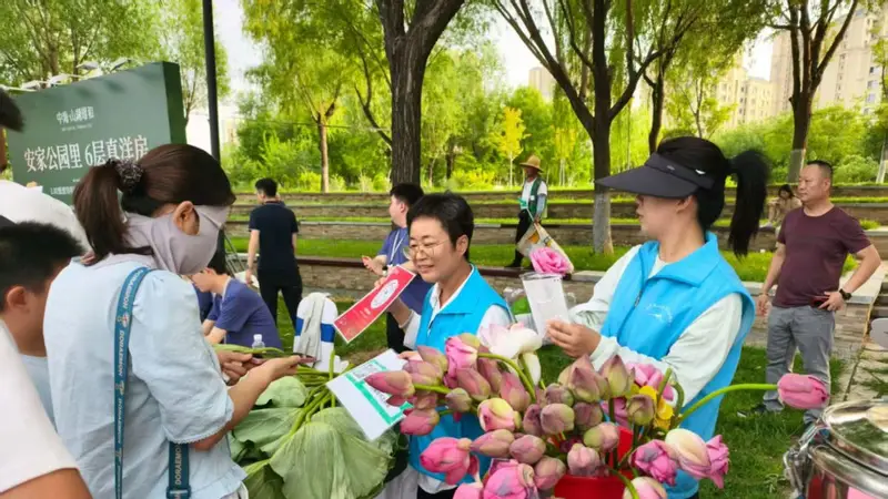 华山荷花节启幕 荷灯映水共祈愿