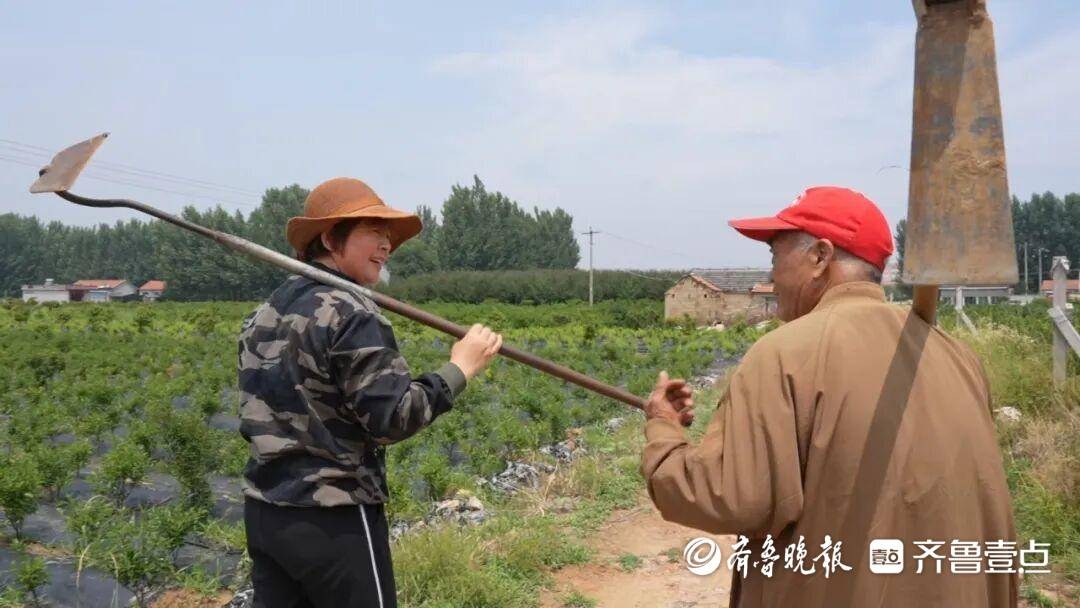 乡村有范儿丨泰安显祖剧团：白天种地晚上唱戏，22个农民撑起一个濒危剧种