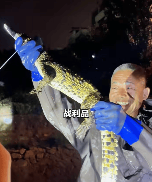 天津一小区人工湖出现鳄鱼，当地通报：已捕获1条暹罗鳄