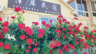 烟台长岛核心景区住宿:步行到九丈崖、月牙湾的民宿实测