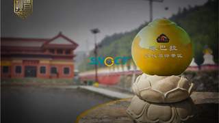 晟景文旅梳理出旅游景区品牌创建五大核心要点 打造有温度有辨识度的文旅品牌
