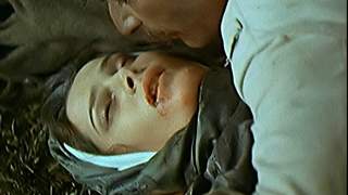 莫言曾模仿《静静的顿河》遭识破 作品细节现明显雷同痕迹
