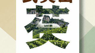 武夷山生态与文化双重治愈 茶香浸润世界双遗产地