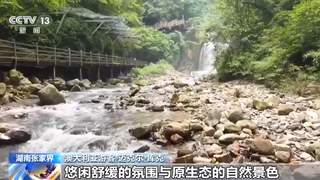 外籍游客夏日游张家界 多语种智能服务助力清凉出行