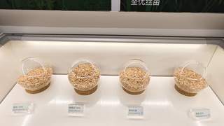 现场 | 停牌日撞上股东会,荃银高科回应超3.5亿元玉米存货减值与同业竞争核心议题