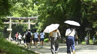 日本景点“双重票价”，为何让国际游客和本国人都怒了？