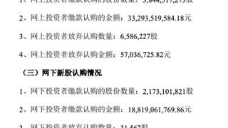 长鑫科技IPO网上弃购658万股，战配规模减半引关注