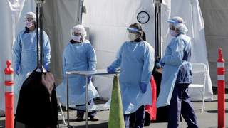 美国9州惊现寄生虫疫情 涉事生菜虫卵来源指向墨西哥泰勒农场