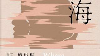 小说《归海》聚焦女性苦难 春雨母性悲剧尽显生存之重