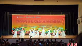 2026年中华文化大乐园东京园圆满闭园 跨山海文脉让童心传薪火