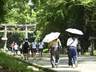 日本景点“双重票价”,为何让国际游客和本国人都怒了?