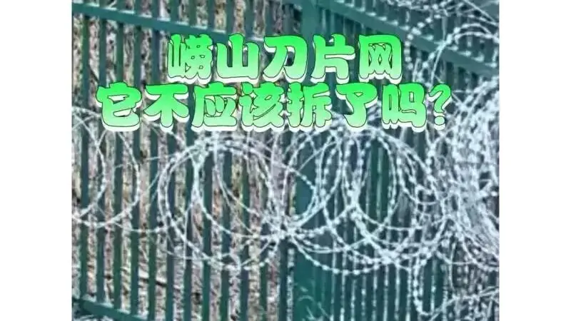 崂山被曝布设泰山同款“刀片网”,当地独家回应