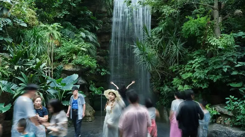 太原植物园清凉游玩攻略，避暑出片两不误！